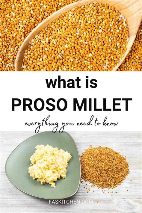 hd porso|Proso Millet 101: Nutrition, Benefits, How To Use, Buy, Store